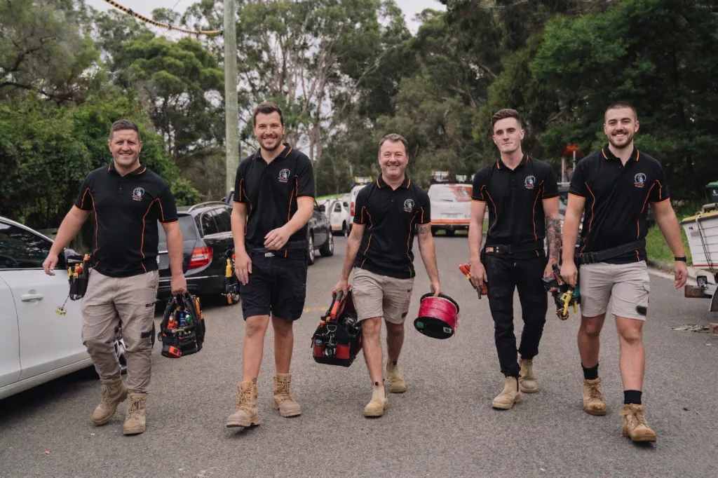 Professional electrical services in Terrey Hills